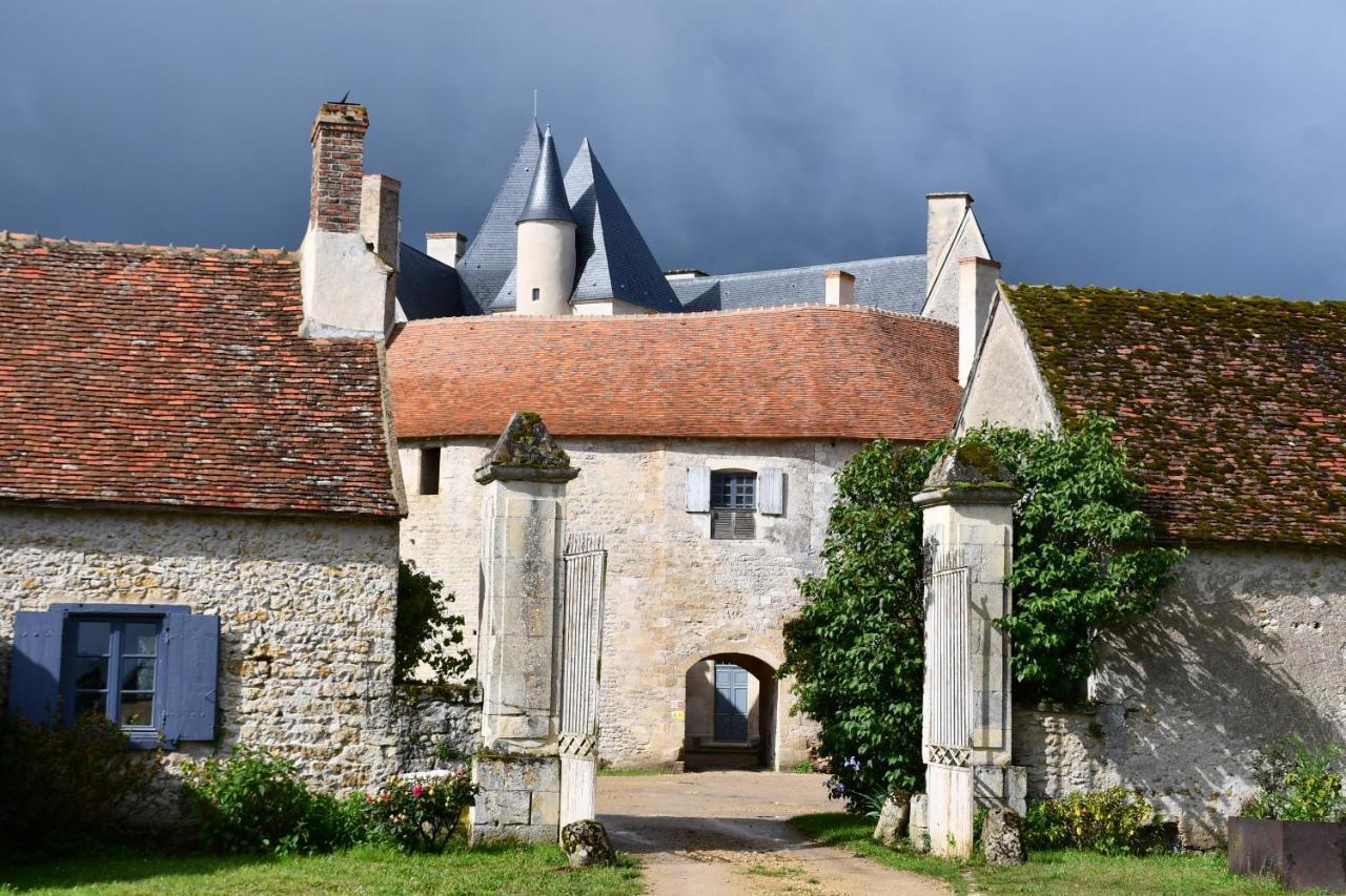 Un Chateau En Bourgogne Saincaize-Meauce 外观 照片