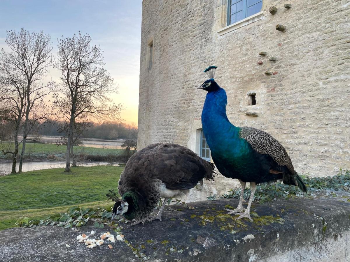 Un Chateau En Bourgogne Saincaize-Meauce 外观 照片